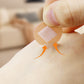 Waterproof Breathable Bandage