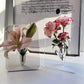🌹 49% OFF NOW! 🖼️ Photo Frame Shaped Clear Flower Vase – Wall-mountable & space-saving – Unique design, perfect for dried or fresh flowers – elegant home or office decor ✨