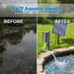🔥50% OFF!!  and✈️ free shipping🔥 Solar Pond Aerator with Air Pump